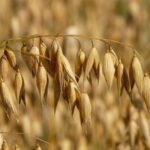 AVEIA : cabinet d'expertise comptable en Lorraine et Luxembourg