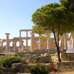 Afaïa : le syndicat des biostimulants et supports de culture