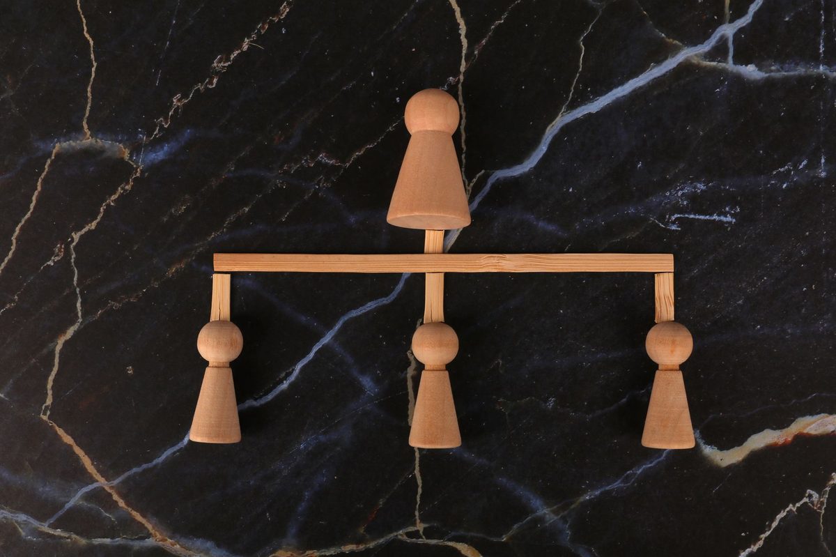 Structure et organisation d'Auraia