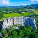 Auraia : la coopérative agricole du Sud-Ouest